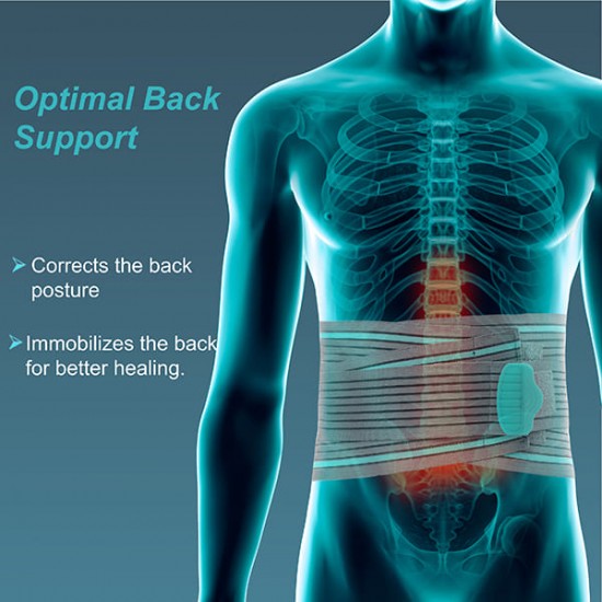 Tynor Lumbo Sacral Belt (A 05)
