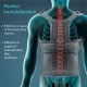 Tynor Taylor's Brace Long (UN) (A 13)