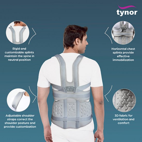 Tynor Taylor's Brace Urbane (SPL) (A 34)